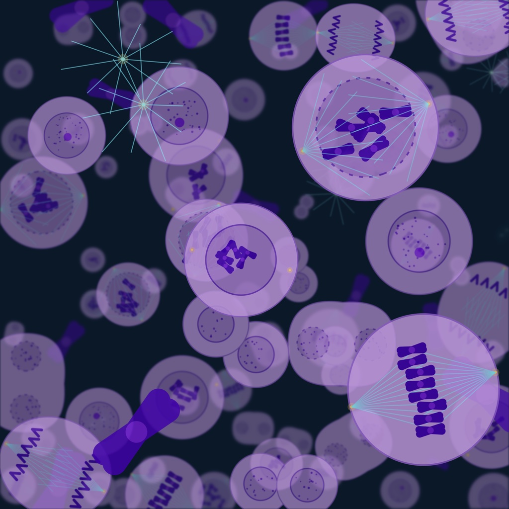 Mitosis pattern on a deep aurora background